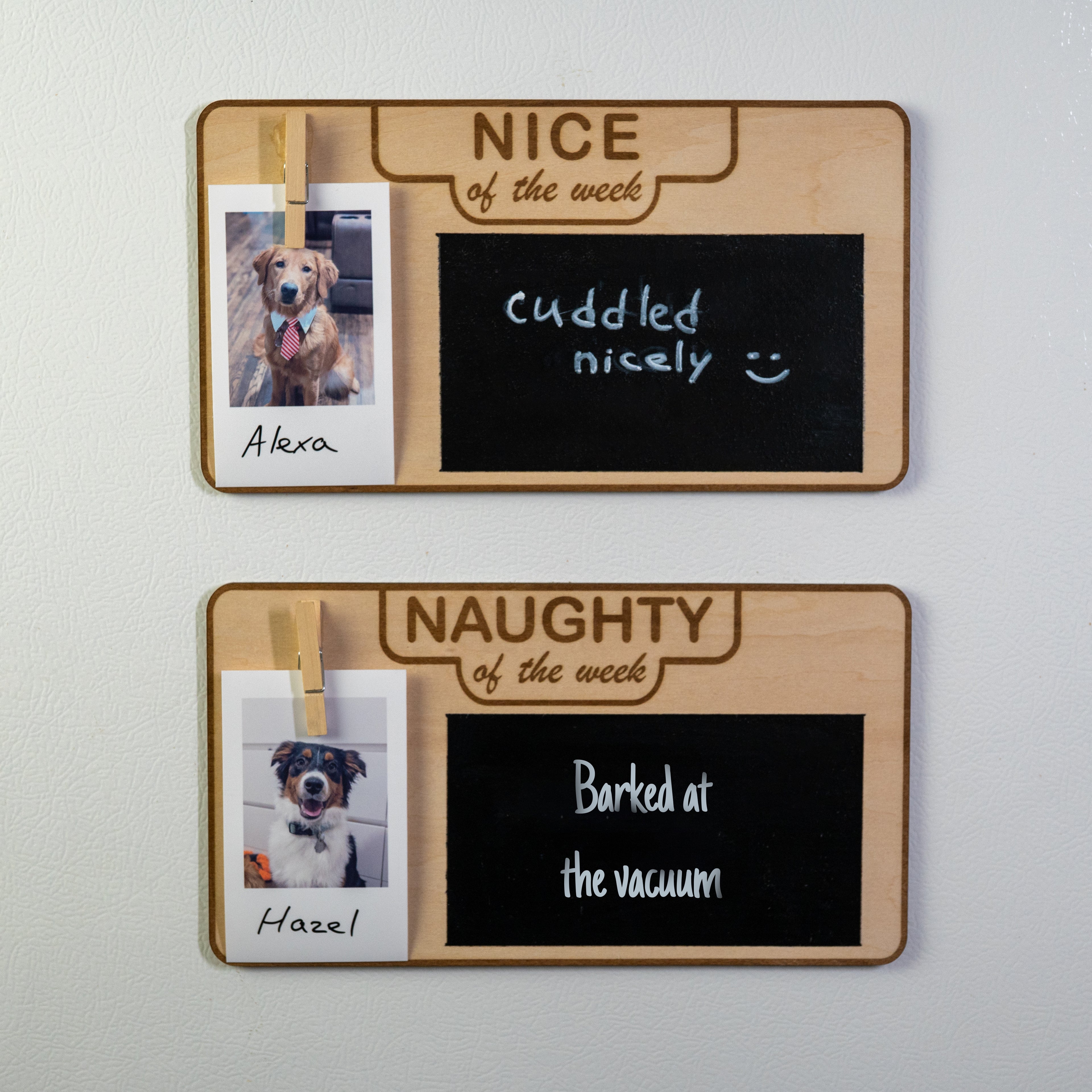 Angled photo of dog signs showing a golden retriever on the "Nice" board and an Aussie on the "Naughty" board with humorous notes.