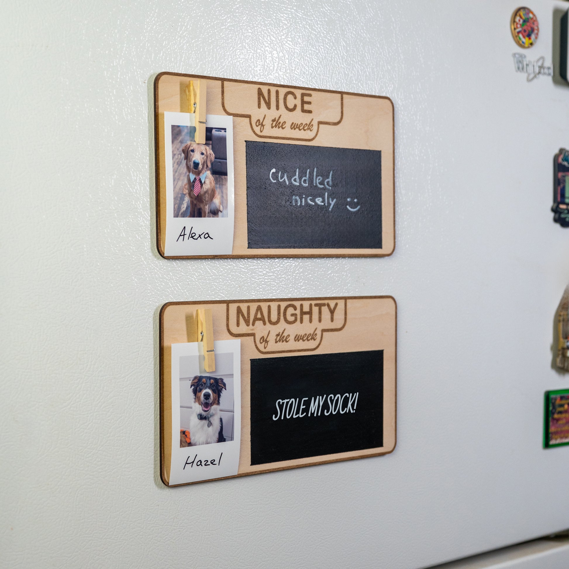 Side-angle image of magnetic "Nice" and "Naughty" pet signs on fridge featuring handwritten dog achievements.
