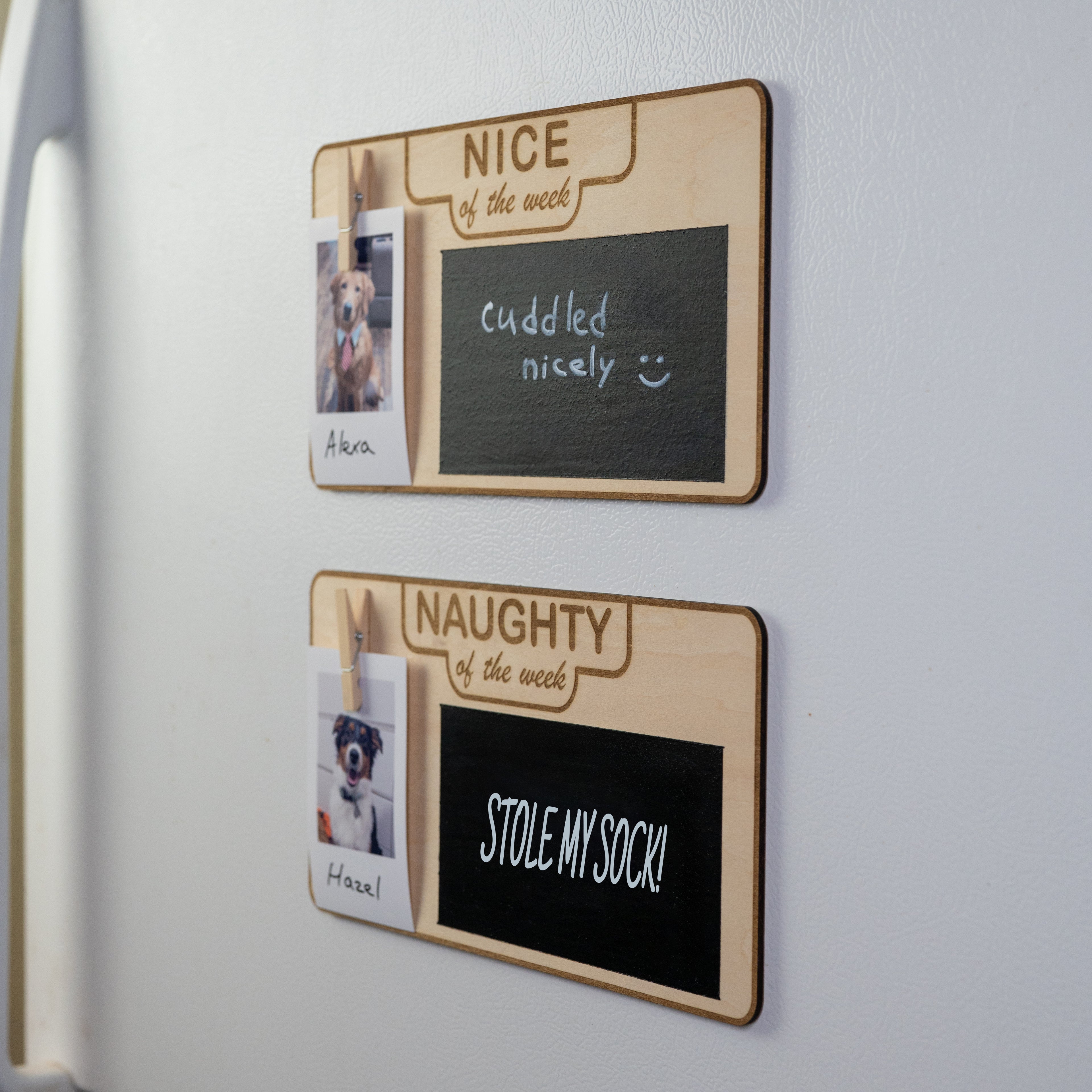 Humorous dog behavior board saying “Stole My Sock!” with photo of happy dog clipped to the sign.