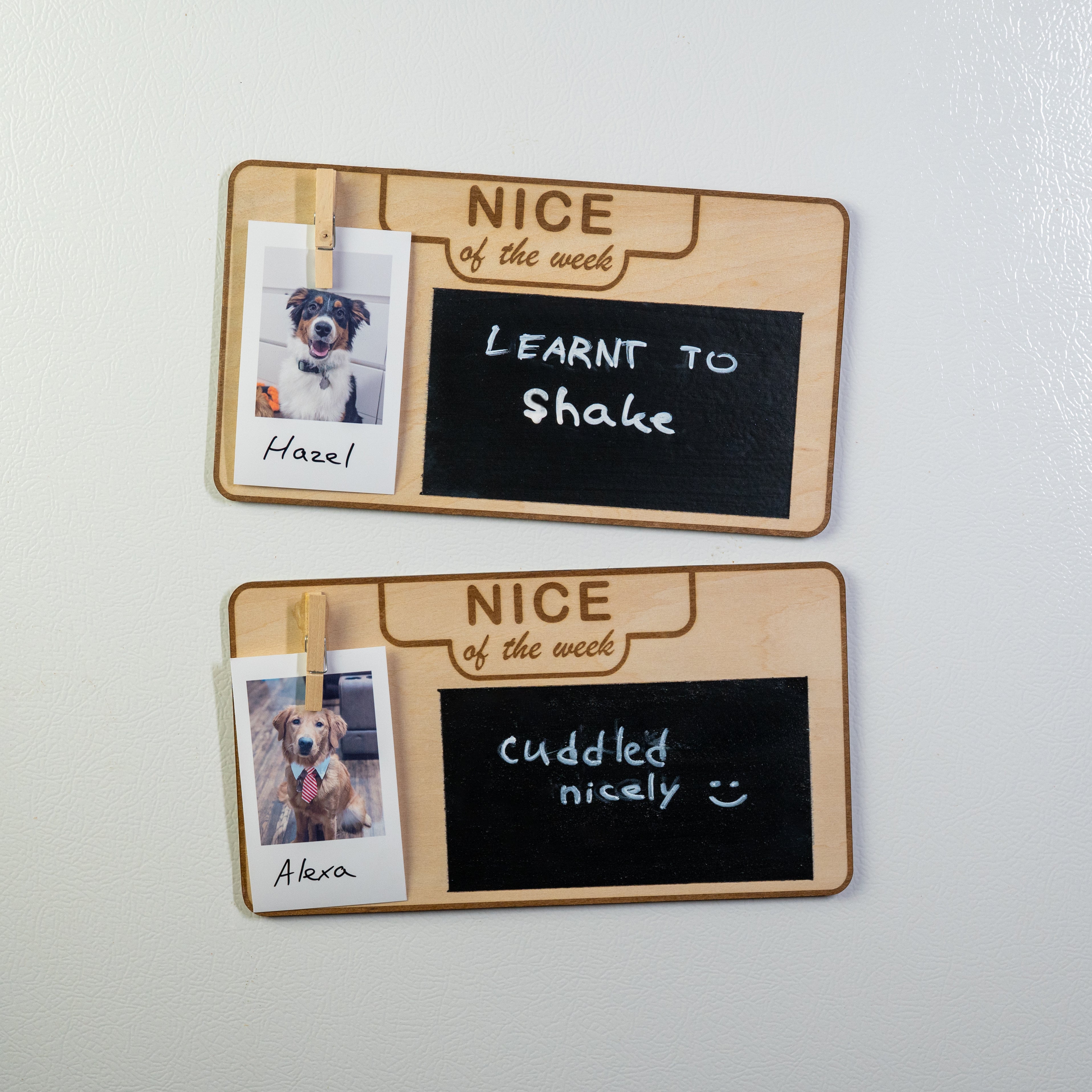 Close-up of two dog behavior signs with Polaroid photos and handwritten messages attached to a white fridge.